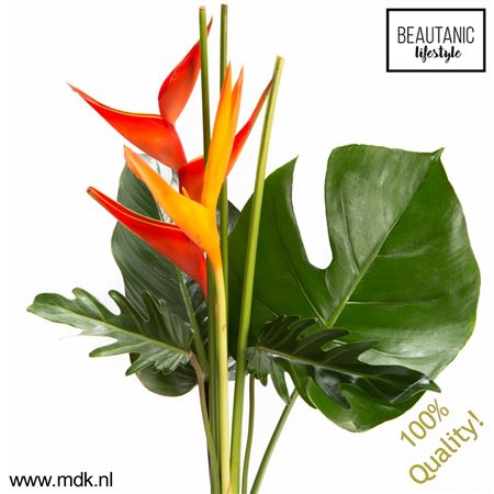 Heliconia Boeket
