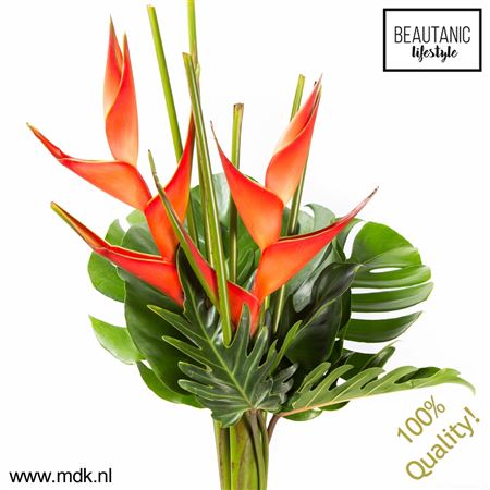 Heliconia Boeket