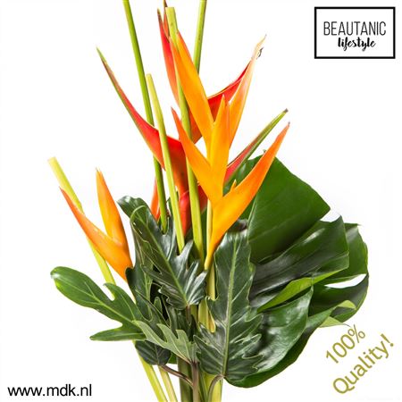 Heliconia Boeket